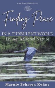 Finding Peace in a Turbulent World