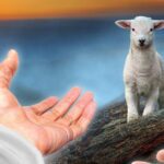 Jesus, the Good Shepherd, goes after the lost sheep