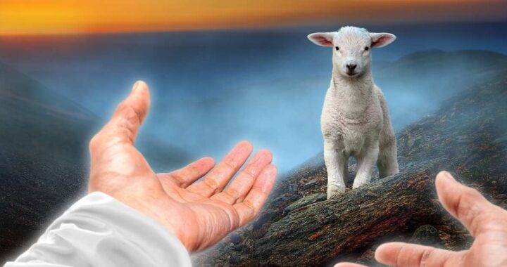 Jesus, the Good Shepherd, goes after the lost sheep